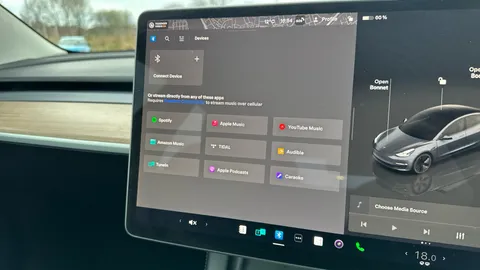 Tesla                     Model 3 RWD Auto