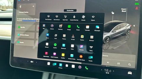 Tesla                     Model 3 RWD Auto