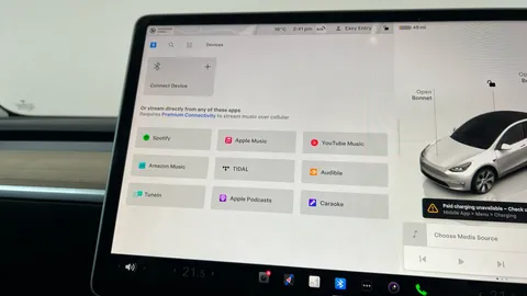 TESLA MODEL Y Long Range AWD Auto