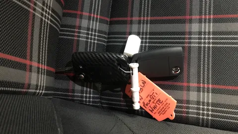 VOLKSWAGEN POLO 2.0 TSI GTI DSG