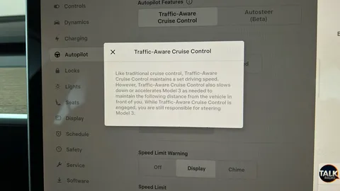 Tesla                     Model 3 Performance AWD [Performance Upgrade] Auto