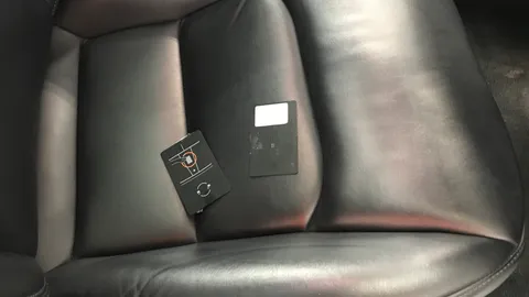 TESLA MODEL 3 Standard Plus Auto