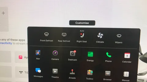 TESLA MODEL 3 Standard Plus Auto