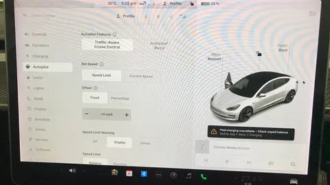 TESLA MODEL 3 Standard Plus Auto