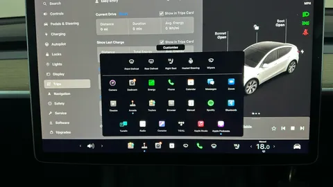 TESLA MODEL Y RWD Auto