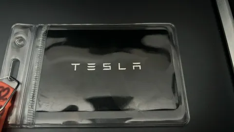 TESLA MODEL Y Long Range AWD Auto