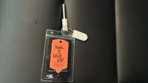 Tesla                     Model Y Long Range AWD Auto