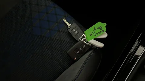 VOLKSWAGEN T-ROC 2.0 TSI 300 4MOTION R DSG