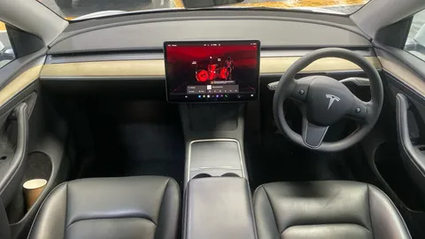 Tesla                     Model Y RWD Auto