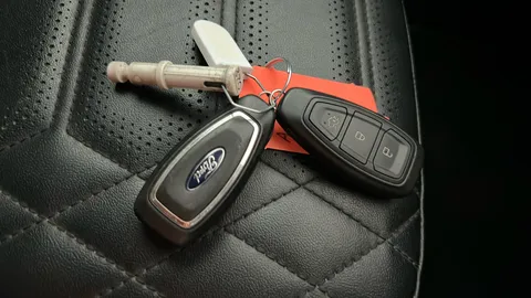 FORD FOCUS 1.5 EcoBlue 120 Active X Vignale Edition Auto