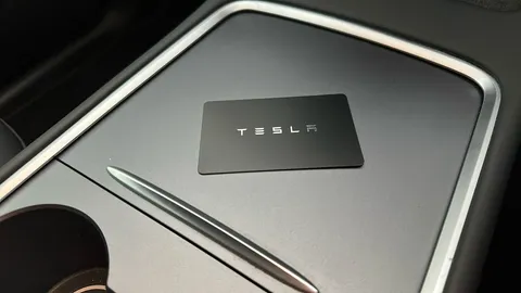 TESLA MODEL Y Long Range AWD Auto