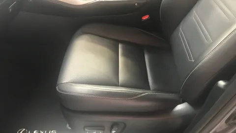 LEXUS NX 300h 2.5 CVT [Premium Pack]