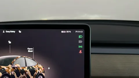 Tesla                     Model Y Long Range AWD Auto