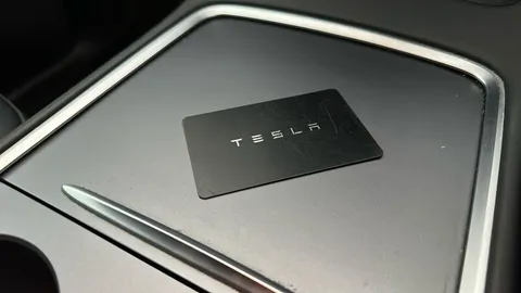 Tesla                     Model Y Long Range AWD Auto