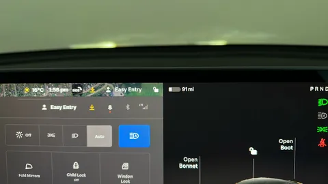 Tesla                     Model Y Long Range AWD Auto
