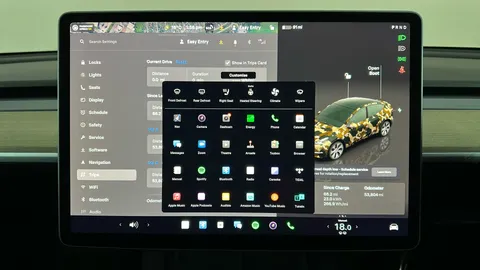Tesla                     Model Y Long Range AWD Auto