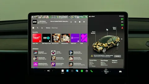 Tesla                     Model Y Long Range AWD Auto