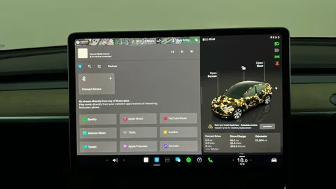Tesla                     Model Y Long Range AWD Auto