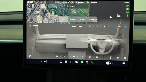Tesla                     Model Y Long Range AWD Auto