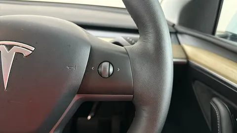 Tesla                     Model Y Long Range AWD Auto