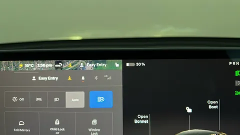 Tesla                     Model Y Long Range AWD Auto