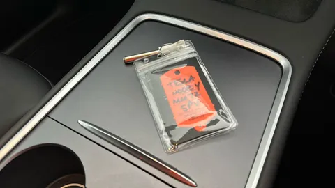 TESLA MODEL Y Performance AWD Auto