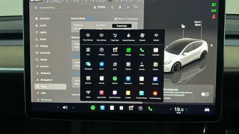 TESLA MODEL Y Performance AWD Auto