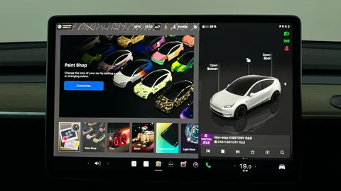 TESLA MODEL Y Performance AWD Auto