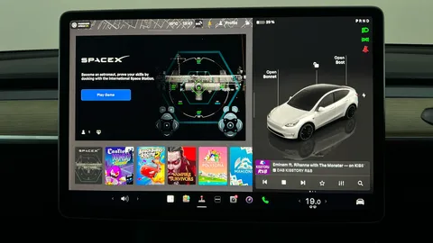 TESLA MODEL Y Performance AWD Auto