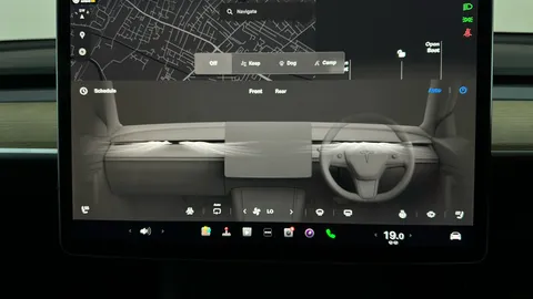 TESLA MODEL Y Performance AWD Auto