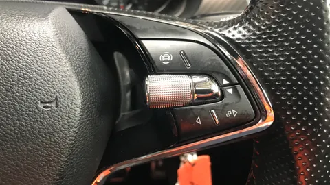 SKODA FABIA 1.0 TSI Monte Carlo DSG