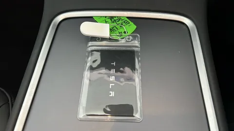 TESLA MODEL Y RWD Auto