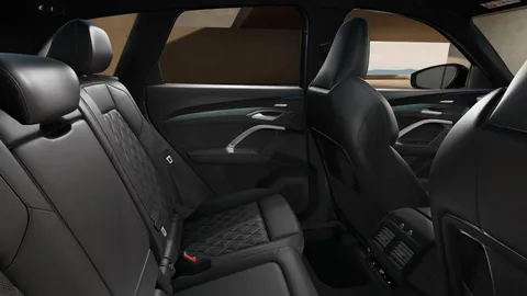  Audi SQ5 3.0 TFSI S Black Edition S Tronic quattro Euro 6 (s/s) 5dr Thumbnail #11