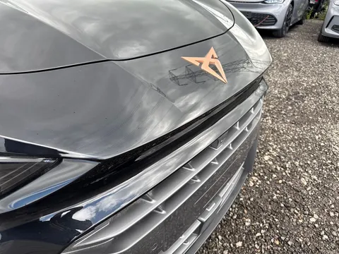 24 of 57 for CUPRA Terramar 1.5 eTSI V2 DSG Euro 6 (s/s) 5dr