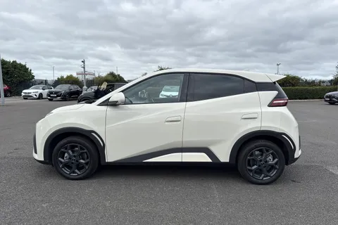 DF25XLU BYD Dolphin Surf 43.2kWh Comfort Auto 5dr Thumbnail #30