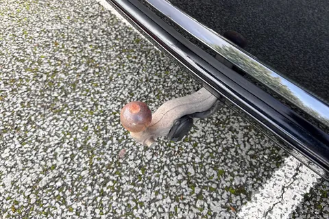 28 of 65 for VOLKSWAGEN TOUAREG 3.0 V6 TDI 4Motion R-Line Tech 5dr Tip Auto