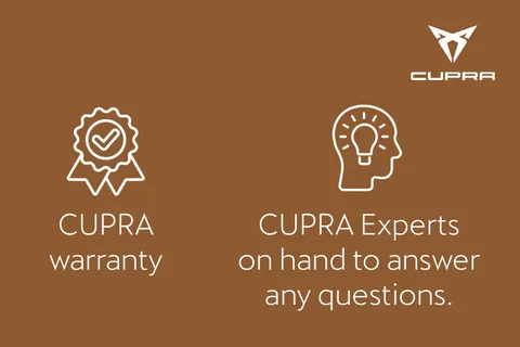 DF25LMJ CUPRA Formentor 1.5 eTSI V3 DSG Euro 6 (s/s) 5dr Thumbnail #45