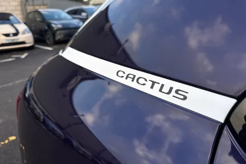 LN17VHL Citroën C4 Cactus 1.6 BlueHDi Flair Edition 5dr [non Start Stop] Thumbnail #26