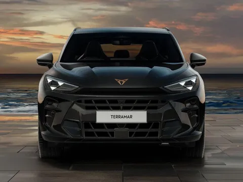 5 of 7 for CUPRA Terramar 2.0 TSI VZ2 DSG 4Drive Euro 6 (s/s) 5dr