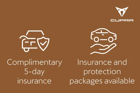  CUPRA Terramar 1.5 eHybrid 25.8kWh Tribe Edition DSG Euro 6 (s/s) 5dr Thumbnail #48