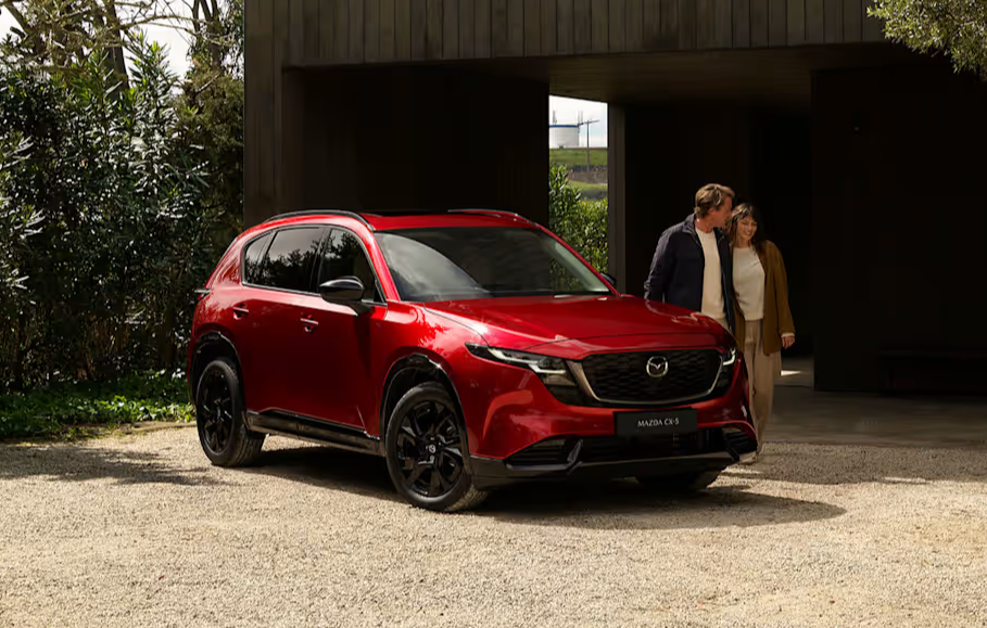 Image representing the content