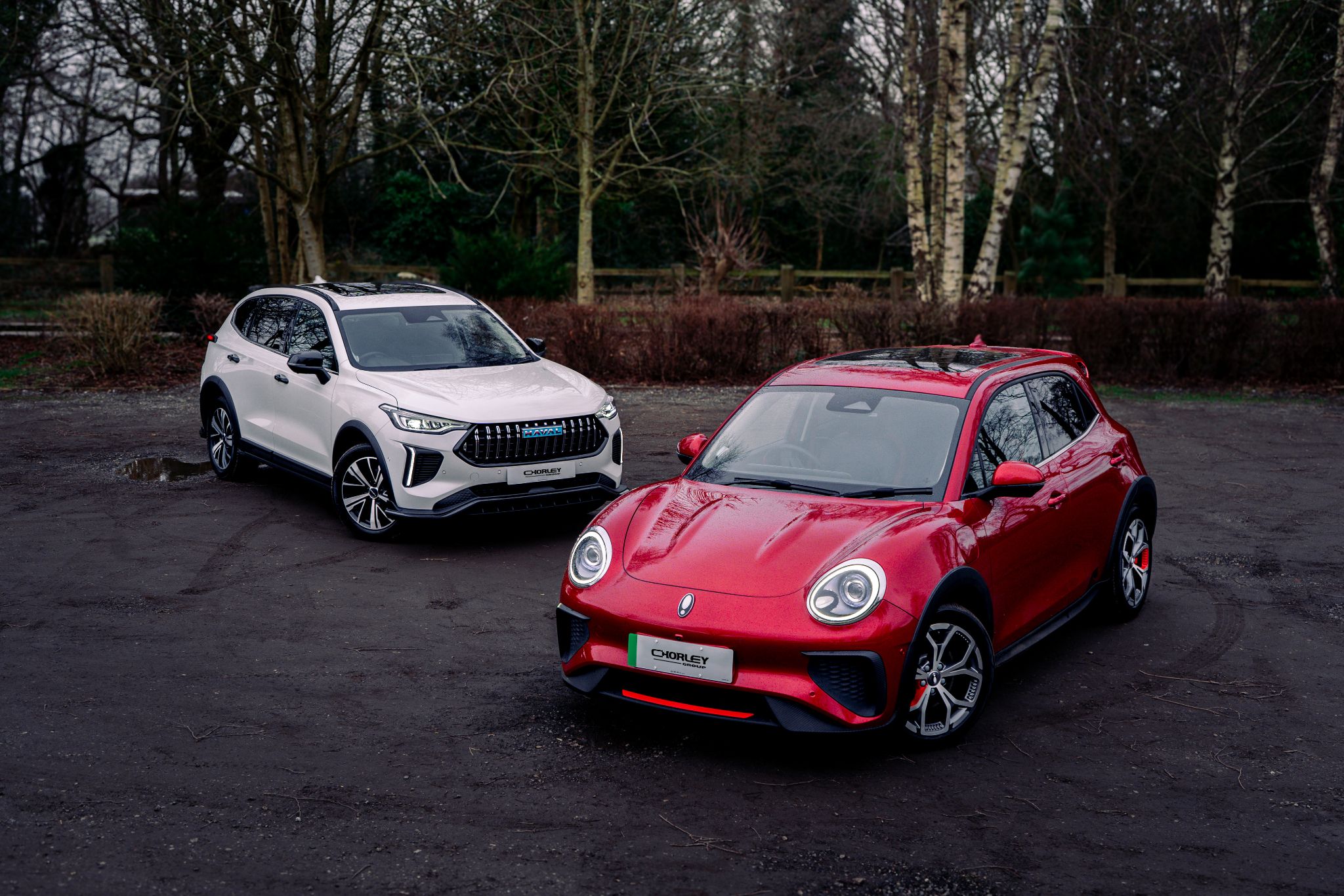 GWM ORA 03 GT and HAVAL Jolion Pro