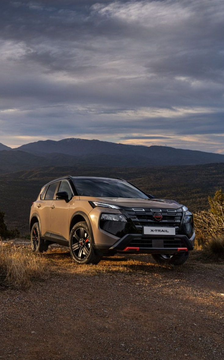 Image representing the content