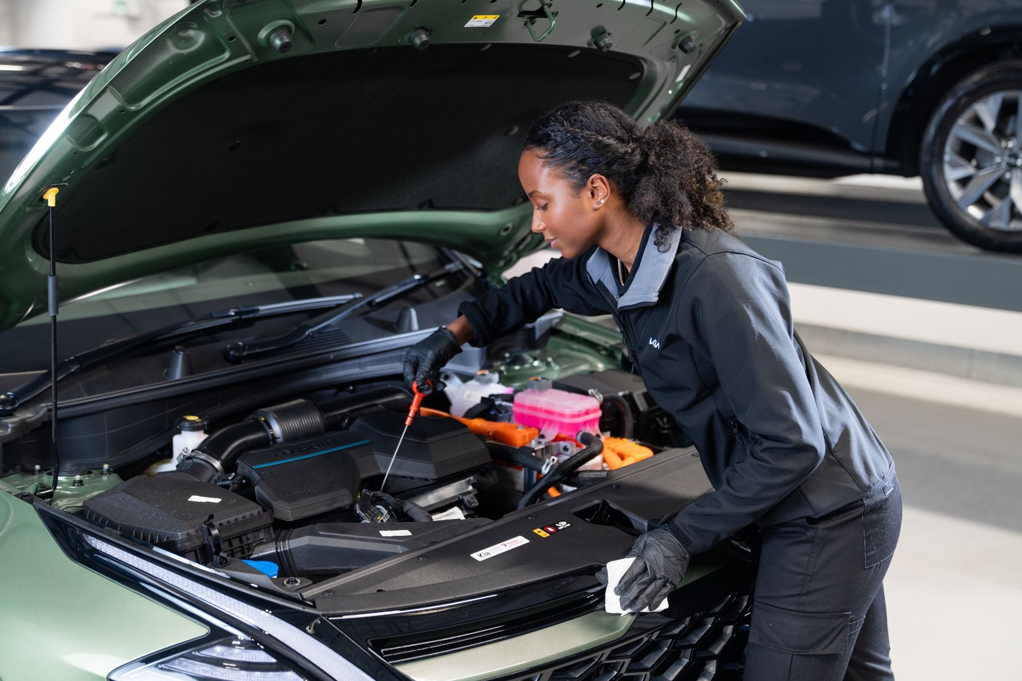 Image representing the content