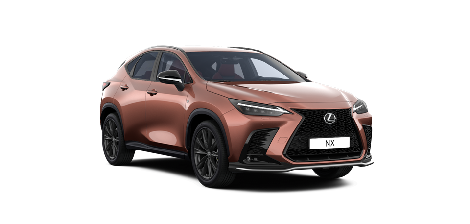 Image representing the content