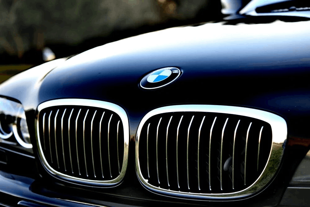 Close Up of BMW Badge and Grill