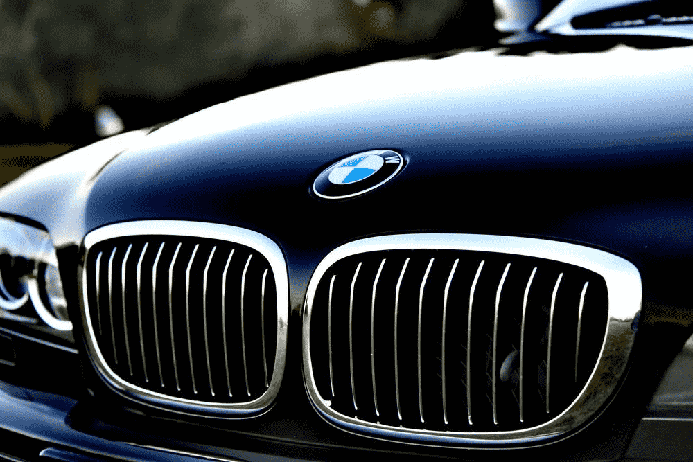 BMW Grille view