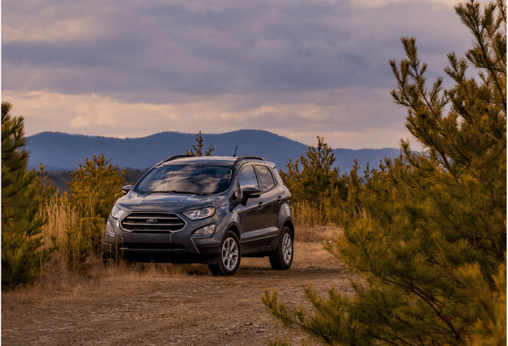 Ford Ecosport Parked in the Wilderness