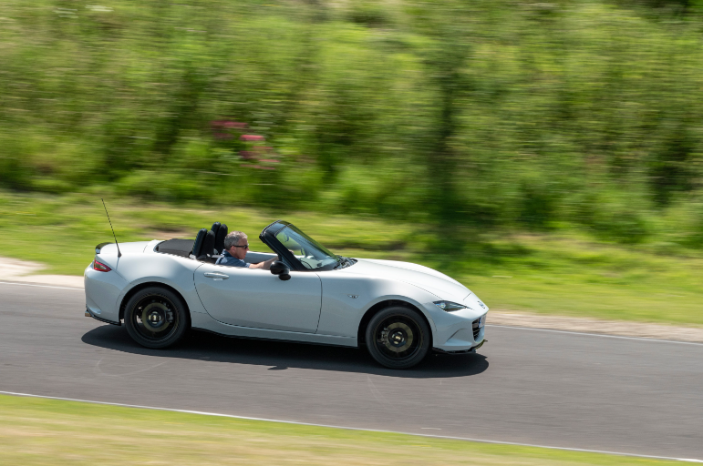 Image representing the content