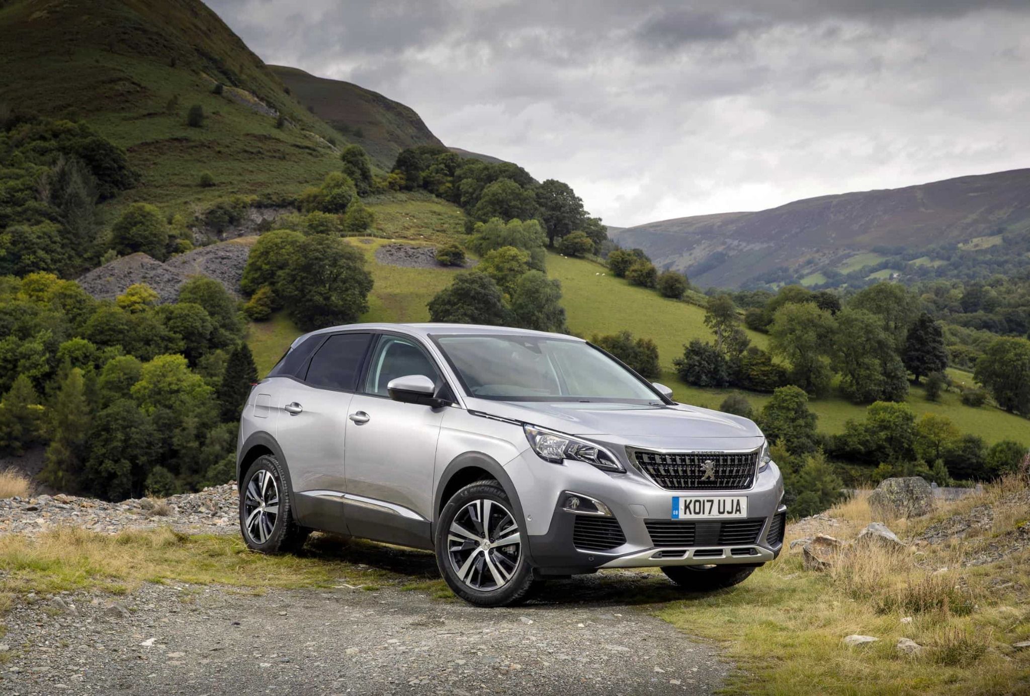 Peugeot 3008 Parked Up in Front of Landscape